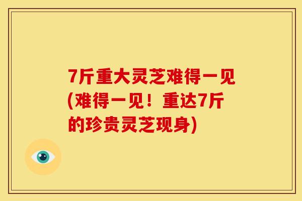7斤重大灵芝难得一见(难得一见!重达7斤的珍贵灵芝现身) 7斤重大灵芝难得一见(难得一见!重达7斤的珍贵灵芝现身)