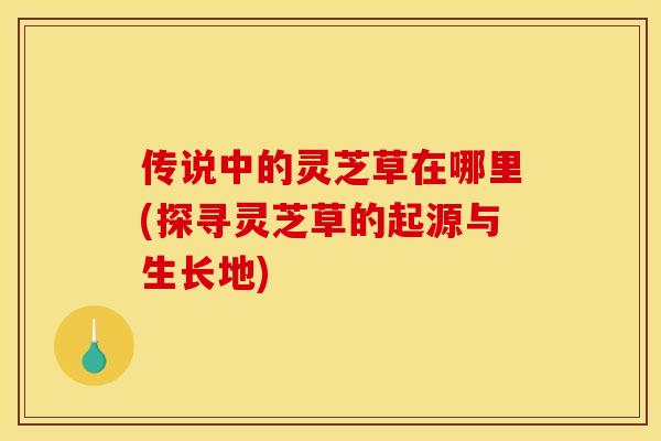 传说中的灵芝草在哪里(探寻灵芝草的起源与生长地)