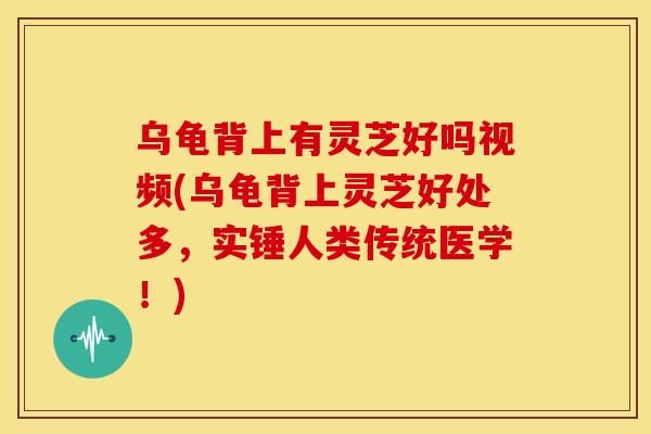乌龟背上有灵芝好吗视频(乌龟背上灵芝好处多，实锤人类传统医学！)