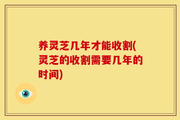 养灵芝几年才能收割(灵芝的收割需要几年的时间) 养灵芝几年才能收割(灵芝的收割需要几年的时间)