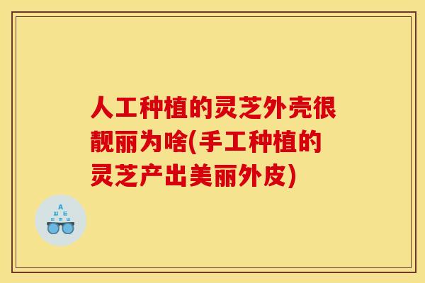 人工种植的灵芝外壳很靓丽为啥(手工种植的灵芝产出美丽外皮) 人工种植的灵芝外壳很靓丽为啥(手工种植的灵芝产出美丽外皮)