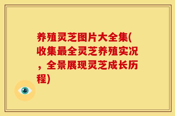 养殖灵芝图片大全集(收集全灵芝养殖实况,全景展现灵芝成长历程) 养殖灵芝图片大全集(收集全灵芝养殖实况,全景展现灵芝成长历程)