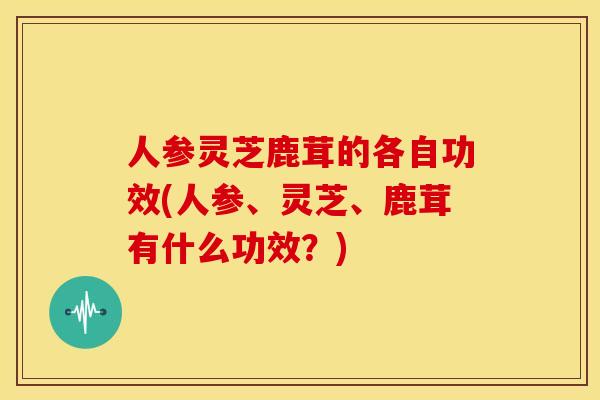 人参灵芝鹿茸的各自功效(人参、灵芝、鹿茸有什么功效?) 人参灵芝鹿茸的各自功效(人参、灵芝、鹿茸有什么功效?)