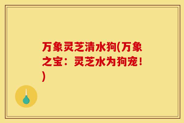 万象灵芝清水狗(万象之宝:灵芝水为狗宠!) 万象灵芝清水狗(万象之宝:灵芝水为狗宠!)