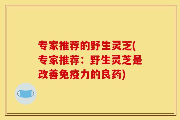 专家推荐的野生灵芝(专家推荐:野生灵芝是改善免疫力的良药) 专家推荐的野生灵芝(专家推荐:野生灵芝是改善免疫力的良药)