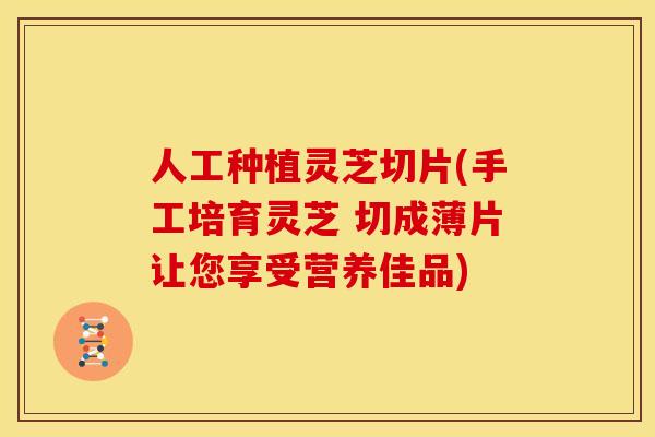 人工种植灵芝切片(手工培育灵芝 切成薄片让您享受营养佳品) 人工种植灵芝切片(手工培育灵芝 切成薄片让您享受营养佳品)