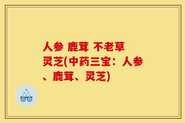 人参 鹿茸 不老草 灵芝(三宝:人参、鹿茸、灵芝) 人参 鹿茸 不老草 灵芝(三宝:人参、鹿茸、灵芝)