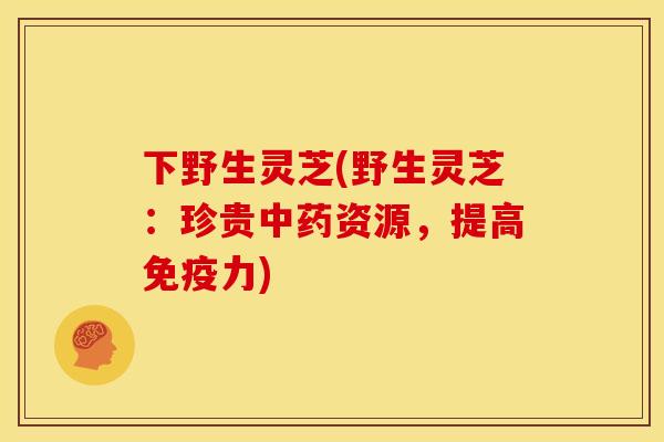 下野生灵芝(野生灵芝:珍贵资源,提高免疫力) 下野生灵芝(野生灵芝:珍贵资源,提高免疫力)
