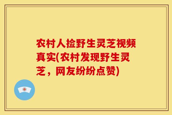 农村人捡野生灵芝视频真实(农村发现野生灵芝,网友纷纷点赞) 农村人捡野生灵芝视频真实(农村发现野生灵芝,网友纷纷点赞)