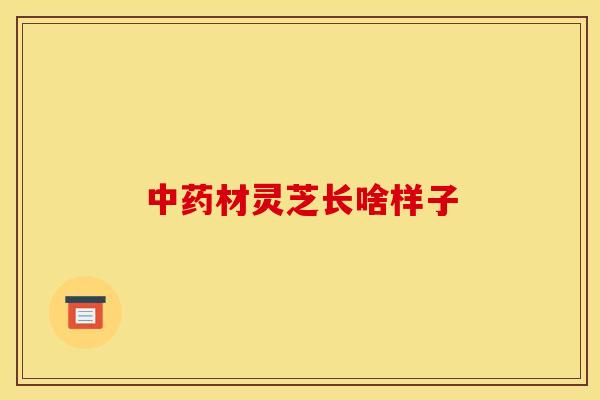 材灵芝长啥样子 材灵芝长啥样子