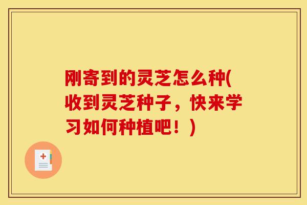 刚寄到的灵芝怎么种(收到灵芝种子,快来学习如何种植吧!) 刚寄到的灵芝怎么种(收到灵芝种子,快来学习如何种植吧!)
