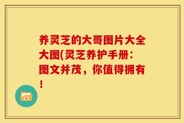 养灵芝的大哥图片大全大图(灵芝养护手册:图文并茂,你值得拥有! 养灵芝的大哥图片大全大图(灵芝养护手册:图文并茂,你值得拥有!