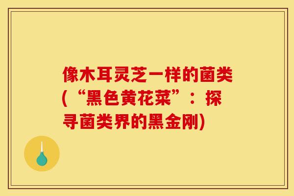 像木耳灵芝一样的菌类(“黑色黄花菜”:探寻菌类界的黑金刚) 像木耳灵芝一样的菌类(“黑色黄花菜”:探寻菌类界的黑金刚)