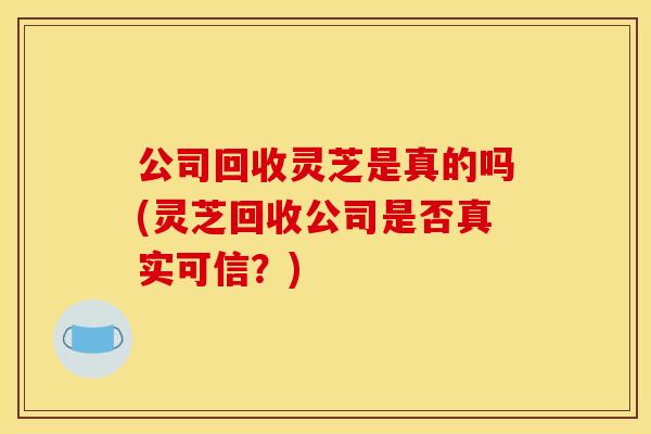 公司回收灵芝是真的吗(灵芝回收公司是否真实可信?) 公司回收灵芝是真的吗(灵芝回收公司是否真实可信?)
