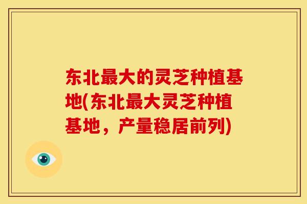 东北大的灵芝种植基地(东北大灵芝种植基地,产量稳居前列) 东北大的灵芝种植基地(东北大灵芝种植基地,产量稳居前列)