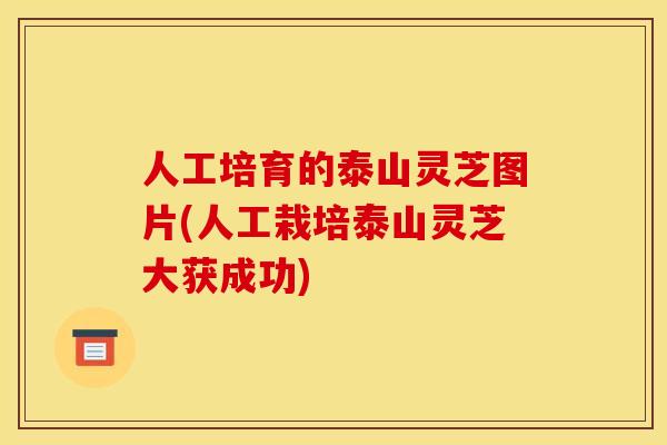 人工培育的泰山灵芝图片(人工栽培泰山灵芝大获成功) 人工培育的泰山灵芝图片(人工栽培泰山灵芝大获成功)