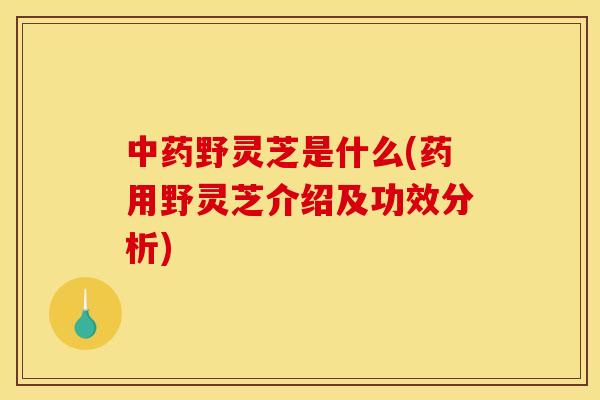 野灵芝是什么(药用野灵芝介绍及功效分析) 野灵芝是什么(药用野灵芝介绍及功效分析)