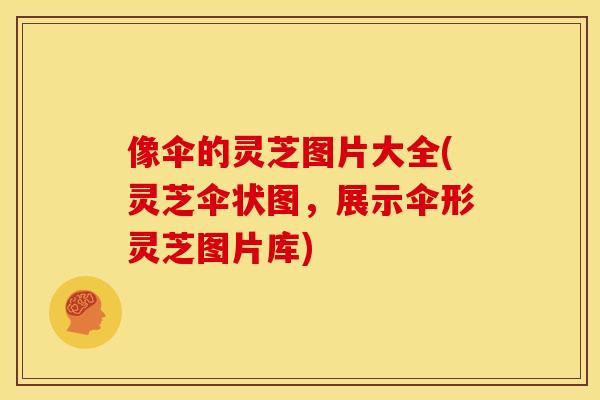 像伞的灵芝图片大全(灵芝伞状图,展示伞形灵芝图片库) 像伞的灵芝图片大全(灵芝伞状图,展示伞形灵芝图片库)