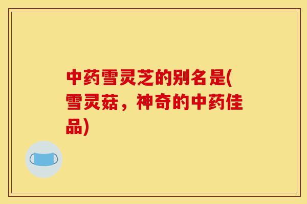 雪灵芝的别名是(雪灵菇,神奇的佳品) 雪灵芝的别名是(雪灵菇,神奇的佳品)