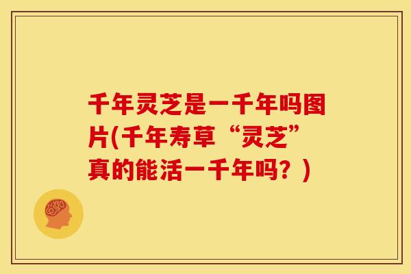 千年灵芝是一千年吗图片(千年寿草“灵芝”真的能活一千年吗?) 千年灵芝是一千年吗图片(千年寿草“灵芝”真的能活一千年吗?)