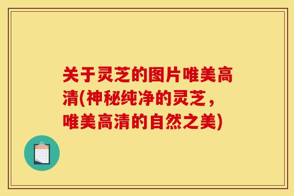 关于灵芝的图片唯美高清(神秘纯净的灵芝,唯美高清的自然之美) 关于灵芝的图片唯美高清(神秘纯净的灵芝,唯美高清的自然之美)
