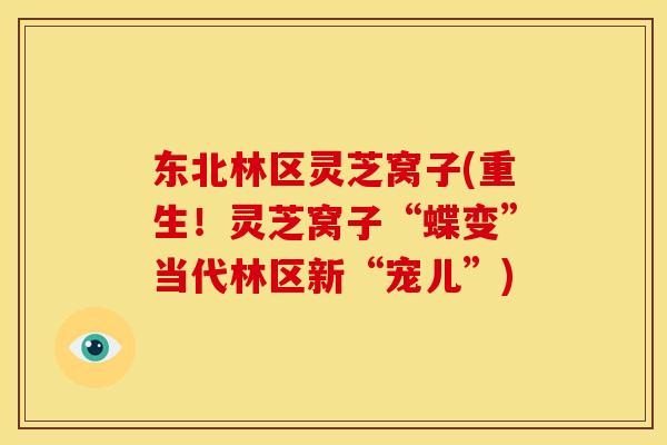 东北林区灵芝窝子(重生!灵芝窝子“蝶变”当代林区新“宠儿”) 东北林区灵芝窝子(重生!灵芝窝子“蝶变”当代林区新“宠儿”)