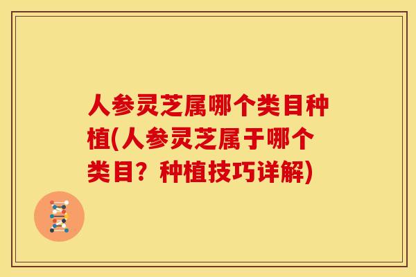 人参灵芝属哪个类目种植(人参灵芝属于哪个类目?种植技巧详解) 人参灵芝属哪个类目种植(人参灵芝属于哪个类目?种植技巧详解)