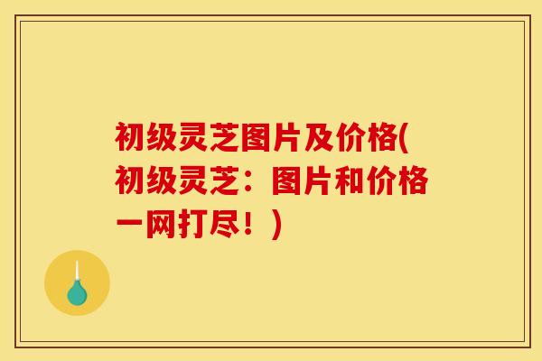 初级灵芝图片及价格(初级灵芝:图片和价格一网打尽!) 初级灵芝图片及价格(初级灵芝:图片和价格一网打尽!)