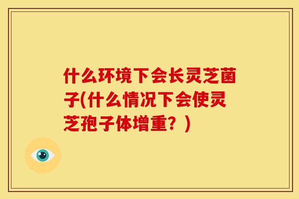 什么环境下会长灵芝菌子(什么情况下会使灵芝孢子体增重?) 什么环境下会长灵芝菌子(什么情况下会使灵芝孢子体增重?)