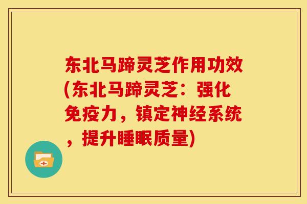 东北马蹄灵芝作用功效(东北马蹄灵芝：强化免疫力，镇定系统，提升质量)