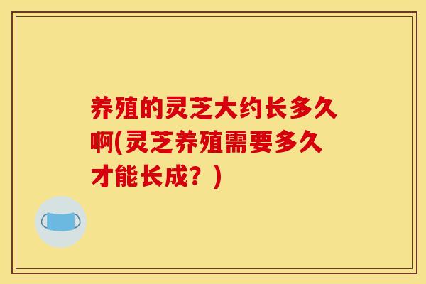 养殖的灵芝大约长多久啊(灵芝养殖需要多久才能长成?) 养殖的灵芝大约长多久啊(灵芝养殖需要多久才能长成?)