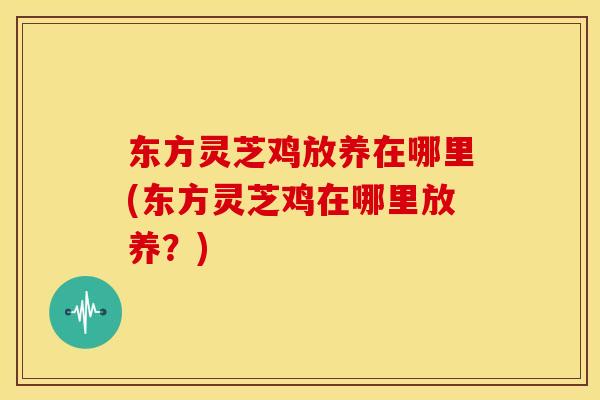 东方灵芝鸡放养在哪里(东方灵芝鸡在哪里放养?) 东方灵芝鸡放养在哪里(东方灵芝鸡在哪里放养?)
