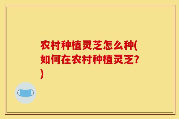 农村种植灵芝怎么种(如何在农村种植灵芝?) 农村种植灵芝怎么种(如何在农村种植灵芝?)