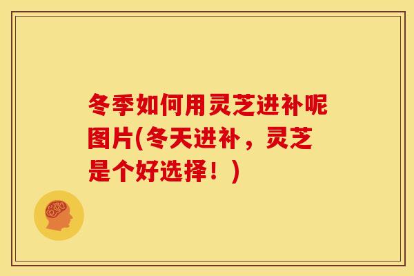 冬季如何用灵芝进补呢图片(冬天进补,灵芝是个好选择!) 冬季如何用灵芝进补呢图片(冬天进补,灵芝是个好选择!)