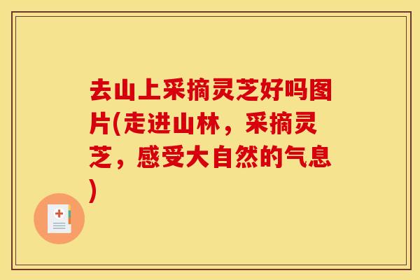 去山上采摘灵芝好吗图片(走进山林,采摘灵芝,感受大自然的气息) 去山上采摘灵芝好吗图片(走进山林,采摘灵芝,感受大自然的气息)