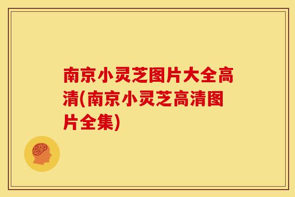 南京小灵芝图片大全高清(南京小灵芝高清图片全集) 南京小灵芝图片大全高清(南京小灵芝高清图片全集)