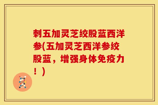 刺五加灵芝绞股蓝西洋参(五加灵芝西洋参绞股蓝,增强身体免疫力!) 刺五加灵芝绞股蓝西洋参(五加灵芝西洋参绞股蓝,增强身体免疫力!)