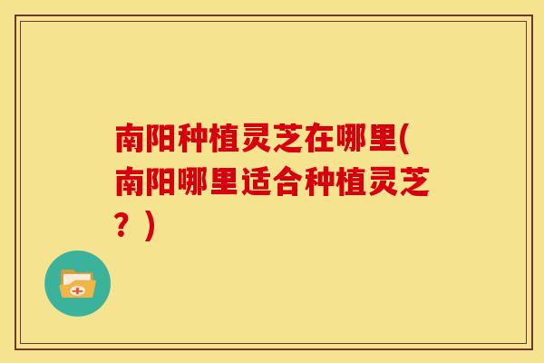 南阳种植灵芝在哪里(南阳哪里适合种植灵芝?) 南阳种植灵芝在哪里(南阳哪里适合种植灵芝?)