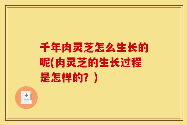 千年肉灵芝怎么生长的呢(肉灵芝的生长过程是怎样的?) 千年肉灵芝怎么生长的呢(肉灵芝的生长过程是怎样的?)