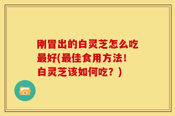 刚冒出的白灵芝怎么吃好(佳食用方法!白灵芝该如何吃?) 刚冒出的白灵芝怎么吃好(佳食用方法!白灵芝该如何吃?)