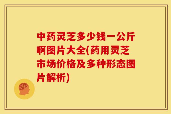 灵芝多少钱一公斤啊图片大全(药用灵芝市场价格及多种形态图片解析) 灵芝多少钱一公斤啊图片大全(药用灵芝市场价格及多种形态图片解析)