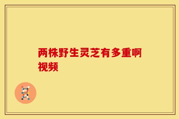 两株野生灵芝有多重啊视频 两株野生灵芝有多重啊视频