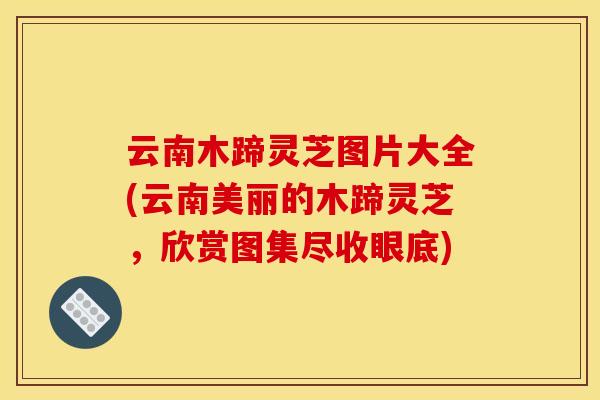 云南木蹄灵芝图片大全(云南美丽的木蹄灵芝，欣赏图集尽收眼底)