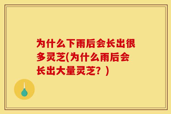 为什么下雨后会长出很多灵芝(为什么雨后会长出大量灵芝?) 为什么下雨后会长出很多灵芝(为什么雨后会长出大量灵芝?)