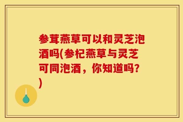 参茸燕草可以和灵芝泡酒吗(参杞燕草与灵芝可同泡酒，你知道吗？)