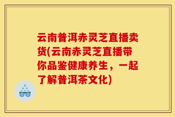云南普洱赤灵芝直播卖货(云南赤灵芝直播带你品鉴健康养生,一起了解普洱茶文化) 云南普洱赤灵芝直播卖货(云南赤灵芝直播带你品鉴健康养生,一起了解普洱茶文化)