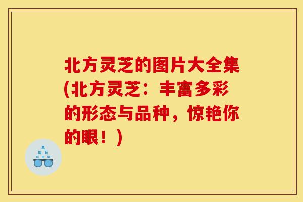 北方灵芝的图片大全集(北方灵芝:丰富多彩的形态与品种,惊艳你的眼!) 北方灵芝的图片大全集(北方灵芝:丰富多彩的形态与品种,惊艳你的眼!)
