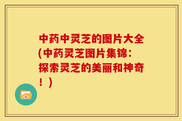 中灵芝的图片大全(灵芝图片集锦:探索灵芝的美丽和神奇!) 中灵芝的图片大全(灵芝图片集锦:探索灵芝的美丽和神奇!)