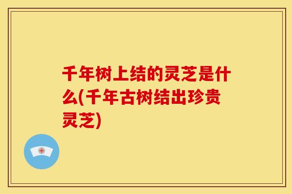 千年树上结的灵芝是什么(千年古树结出珍贵灵芝) 千年树上结的灵芝是什么(千年古树结出珍贵灵芝)