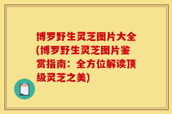 博罗野生灵芝图片大全(博罗野生灵芝图片鉴赏指南:全方位解读灵芝之美) 博罗野生灵芝图片大全(博罗野生灵芝图片鉴赏指南:全方位解读灵芝之美)